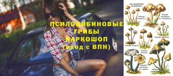 PSILOCYBIN Зеленокумск