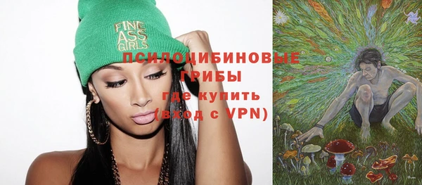 PSILOCYBIN Зеленокумск